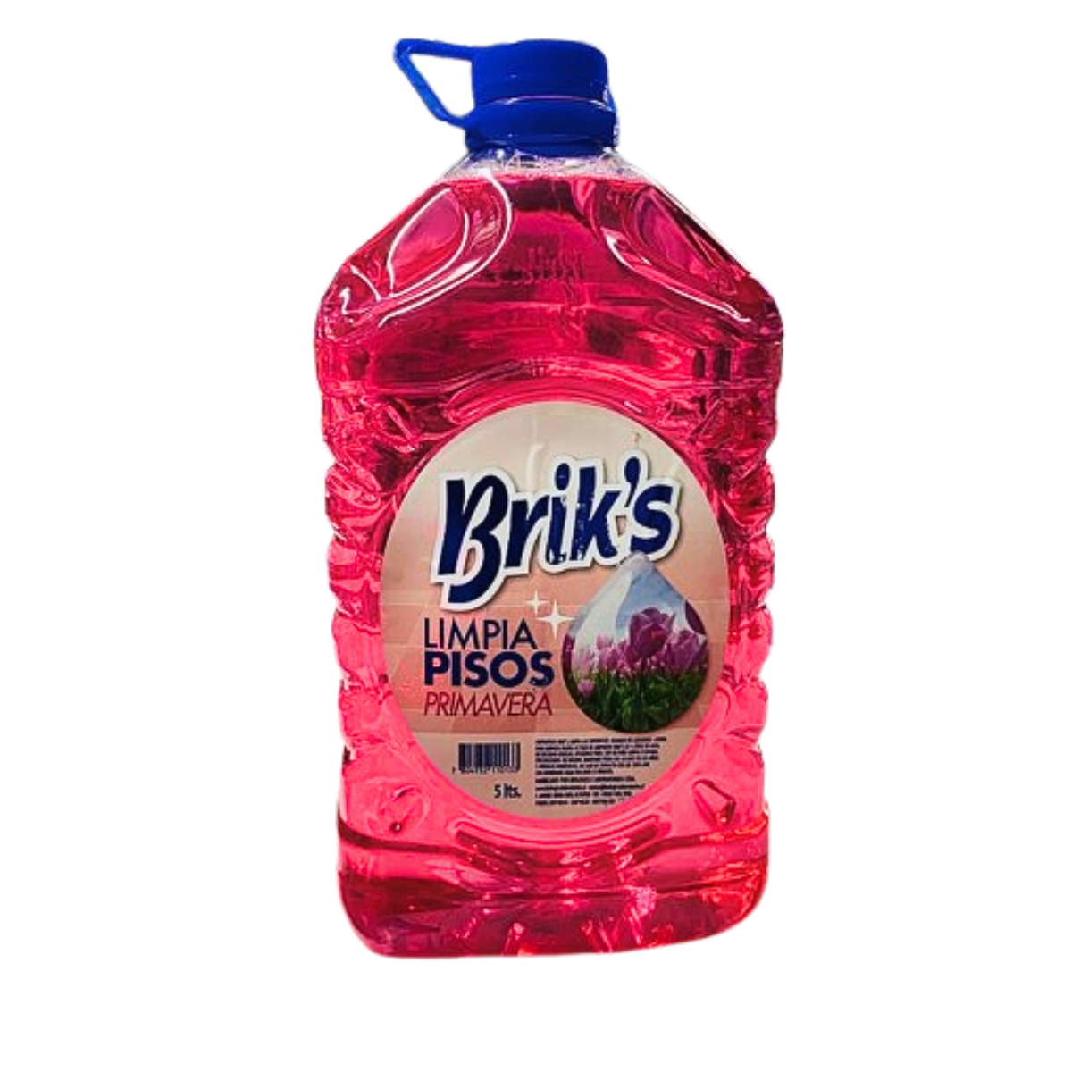 Limpiapisos Brik´s